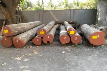 Round Logs1